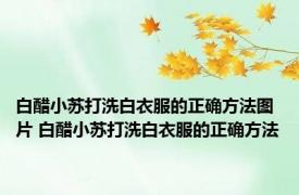 白醋小苏打洗白衣服的正确方法图片 白醋小苏打洗白衣服的正确方法