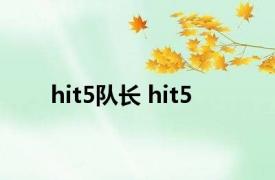 hit5队长 hit5 