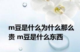 m豆是什么为什么那么贵 m豆是什么东西