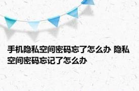 手机隐私空间密码忘了怎么办 隐私空间密码忘记了怎么办