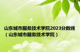 山东城市服务技术学院2023分数线（山东城市服务技术学院）