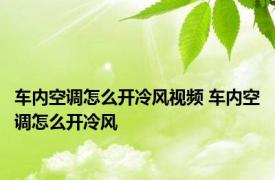 车内空调怎么开冷风视频 车内空调怎么开冷风