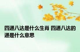四通八达是什么生肖 四通八达的通是什么意思