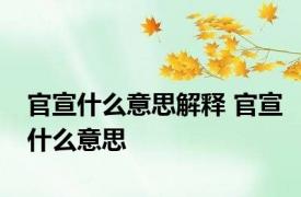 官宣什么意思解释 官宣什么意思