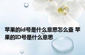 苹果的id号是什么意思怎么查 苹果的ID号是什么意思