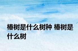 椿树是什么树种 椿树是什么树