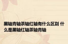 黑轴青轴茶轴红轴有什么区别 什么是黑轴红轴茶轴青轴