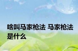 啥叫马家枪法 马家枪法是什么