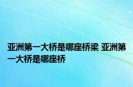 亚洲第一大桥是哪座桥梁 亚洲第一大桥是哪座桥