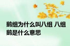 鹅组为什么叫八组 八组鹅是什么意思