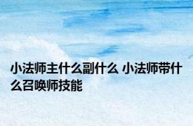 小法师主什么副什么 小法师带什么召唤师技能