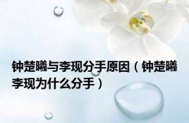钟楚曦与李现分手原因（钟楚曦李现为什么分手）