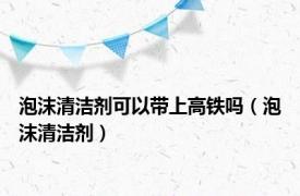 泡沫清洁剂可以带上高铁吗（泡沫清洁剂）