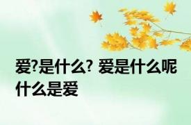 爱?是什么? 爱是什么呢 什么是爱