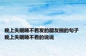 晚上失眠睡不着发的朋友圈的句子 晚上失眠睡不着的说说