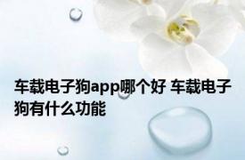 车载电子狗app哪个好 车载电子狗有什么功能