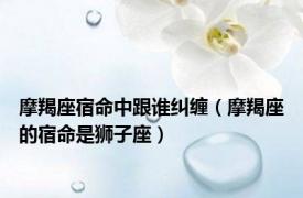 摩羯座宿命中跟谁纠缠（摩羯座的宿命是狮子座）