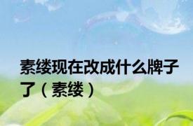 素缕现在改成什么牌子了（素缕）