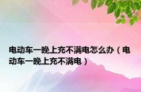 电动车一晚上充不满电怎么办（电动车一晚上充不满电）