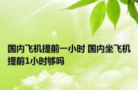 国内飞机提前一小时 国内坐飞机提前1小时够吗