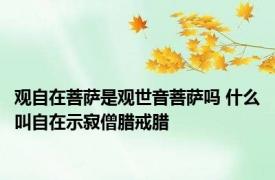 观自在菩萨是观世音菩萨吗 什么叫自在示寂僧腊戒腊
