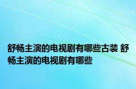 舒畅主演的电视剧有哪些古装 舒畅主演的电视剧有哪些