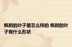 枫树的叶子是怎么样的 枫树的叶子有什么形状