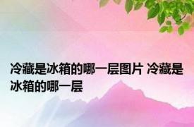 冷藏是冰箱的哪一层图片 冷藏是冰箱的哪一层
