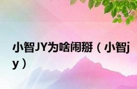小智JY为啥闹掰（小智jy）