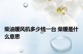柴油暖风机多少钱一台 柴暖是什么意思