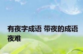 有夜字成语 带夜的成语夜难