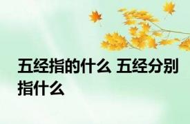 五经指的什么 五经分别指什么