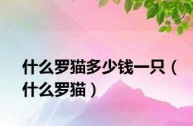 什么罗猫多少钱一只（什么罗猫）
