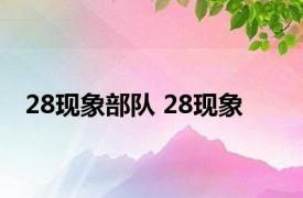 28现象部队 28现象 