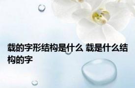 载的字形结构是什么 载是什么结构的字