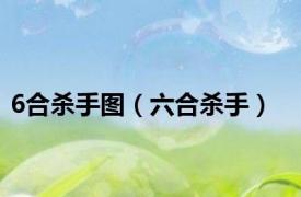 6合杀手图（六合杀手）