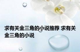 求有关金三角的小说推荐 求有关金三角的小说