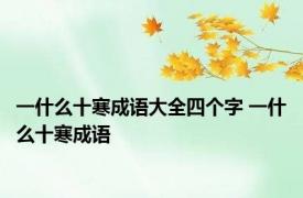 一什么十寒成语大全四个字 一什么十寒成语