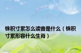 铢积寸累怎么读音是什么（铢积寸累形容什么生肖）