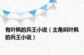 有叶枫的兵王小说（主角叫叶枫的兵王小说）