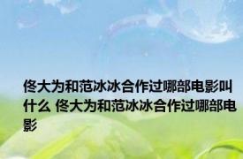 佟大为和范冰冰合作过哪部电影叫什么 佟大为和范冰冰合作过哪部电影