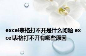 excel表格打不开是什么问题 excel表格打不开有哪些原因
