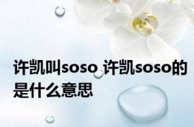 许凯叫soso 许凯soso的是什么意思