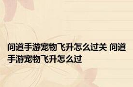 问道手游宠物飞升怎么过关 问道手游宠物飞升怎么过