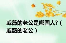 戚薇的老公是哪国人?（戚薇的老公）
