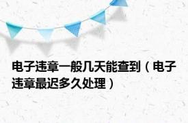 电子违章一般几天能查到（电子违章最迟多久处理）