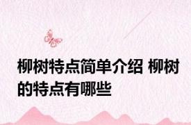 柳树特点简单介绍 柳树的特点有哪些