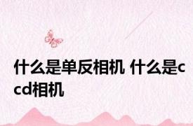 什么是单反相机 什么是ccd相机