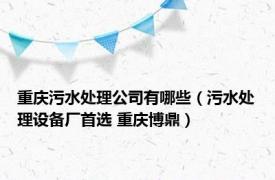 重庆污水处理公司有哪些（污水处理设备厂首选 重庆博鼎）