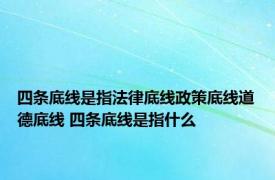 四条底线是指法律底线政策底线道德底线 四条底线是指什么